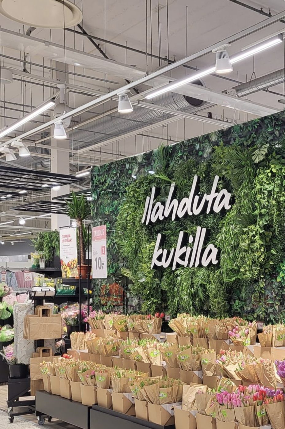 Kukkaosasto lämminsävyisellä kohdevalaistuksella